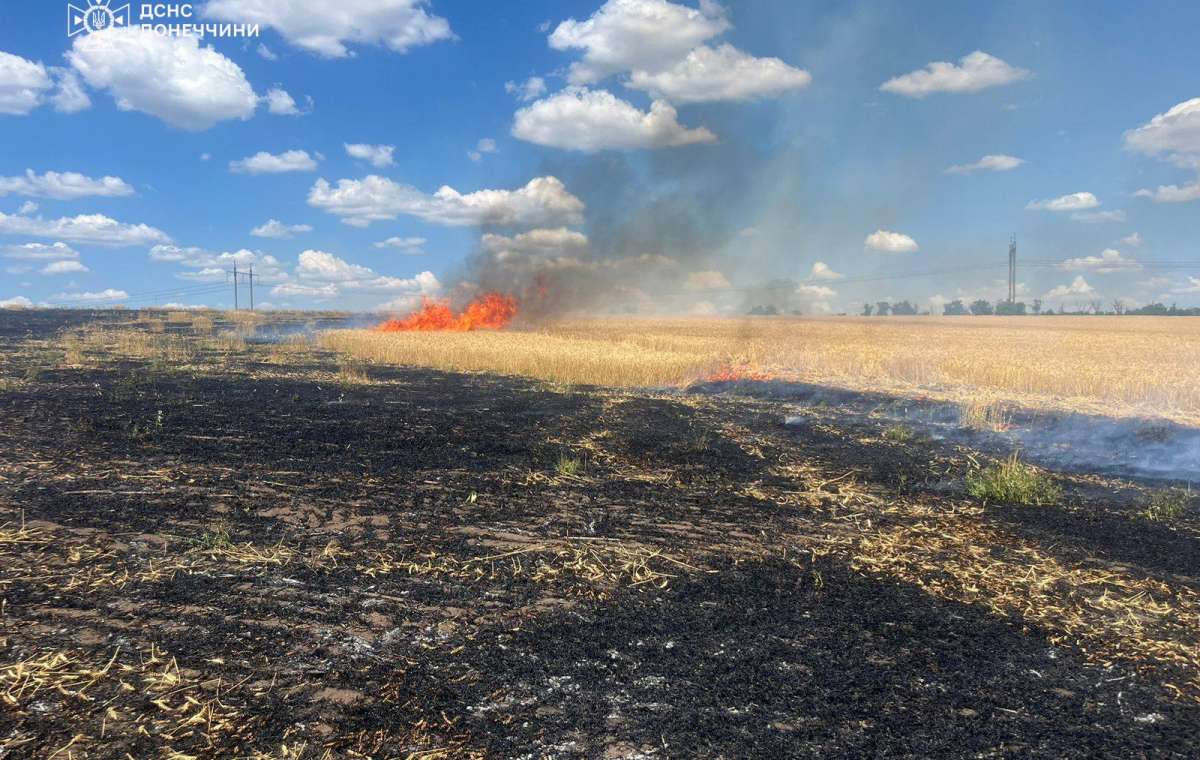 В Іллінівській громаді спалахнули поля з пшеницею. Фото