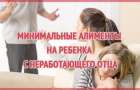 Размер алиментов на одного ребенка увеличили до 50 процентов