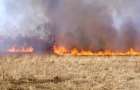 В Полтавской области сгорело 30 га сухой травы 