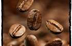 Кто виноват в мировом дефиците кофе