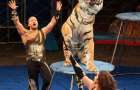 На выступлении цирка Багдасаровых после прыжка через огненное кольцо у тигра случился приступ