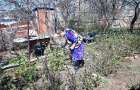 Жительница Константиновки рассказала, как вырастить хороший урожай ягод