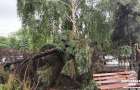 Наслідки негоди: Краматорськ затопило, Дружківку побило градом, у Покровську повалено дерева