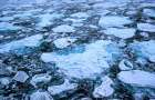 Скорость таяния арктических льдов огорчает ученых мира