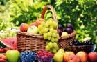 Майские заморозки на 30% уменьшили урожай ягод и фруктов