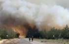 Спасатели ликвидировали масштабный лесной пожар в Лиманской громаде