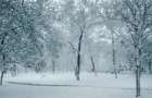 В Крым пришла зима, полуостров засыпало первым снегом