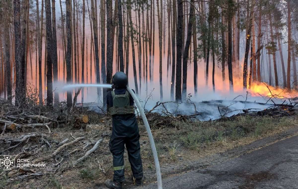 В Донецкой области спустя 8 дней ликвидирован масштабный лесной пожар