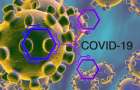 501 случай коронавируса официально признали на неподконтрольных территориях