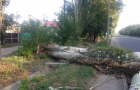 Румынский ураган добрался до Константиновки