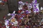 В Донецке пара пыталась продать тонны просроченных конфет