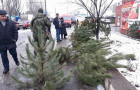 В Славянске проходят проверки касательно незаконной торговли ёлками