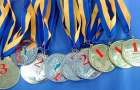 На счету спортсменов Донетчины в 2016 году – 1252 медали