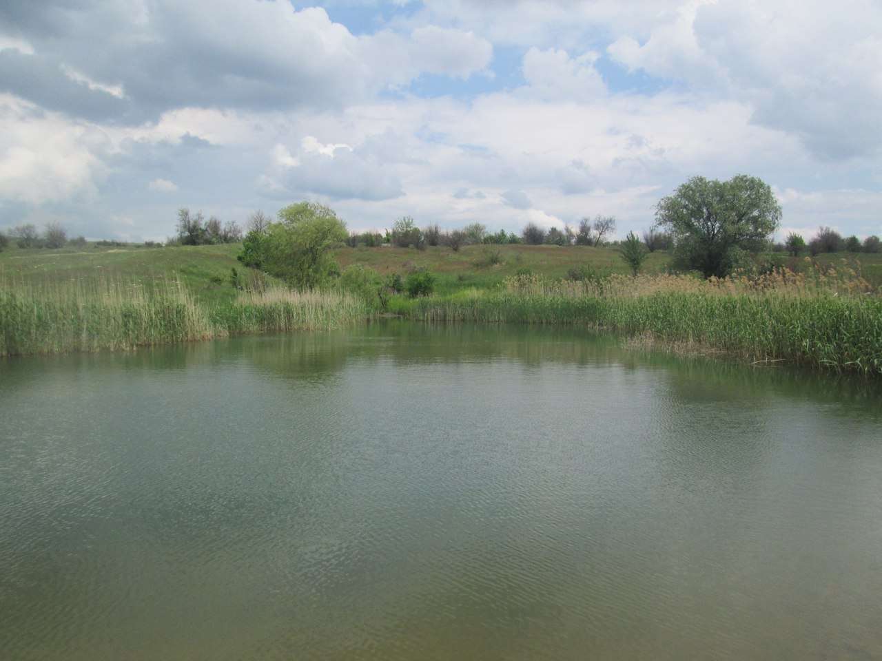 Спиннинговая рыбалка на окраине Дружковки 21.05.2017