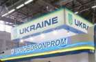 Украина собирается наладить производство боевых вертолетов