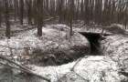 Леса Донетчины: мины, гранатометы, боеприпасы почти под каждым деревом
