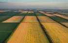 Сельхозпроизводители в Украине могут получить помощь через ДАР