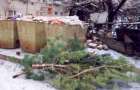 В Красноармейске выброшенные елки коммунальщики используют повторно