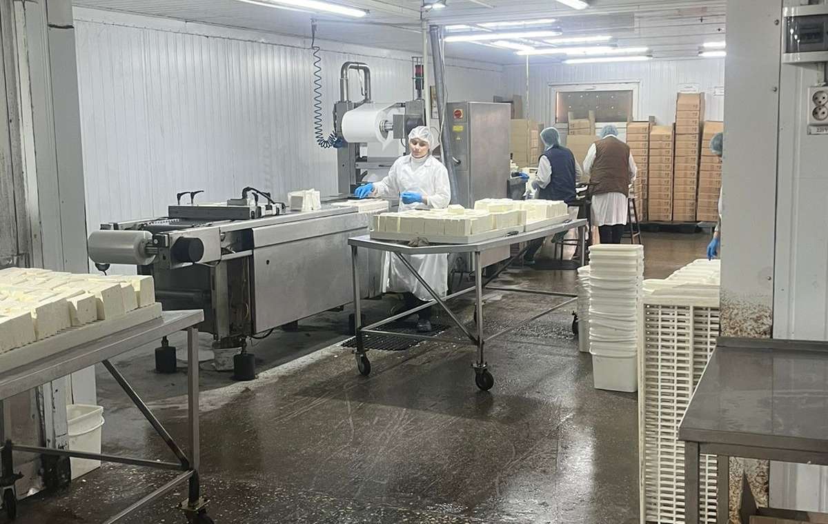 Сироварне підприємство у Костянтинівці виробляє більше 30 тонн продукції на місяць