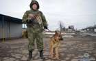 В бой с преступностью в Донецкой области выходит Бой.