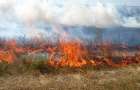 В Донецкой области горят степи и камыш
