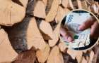 Пенсионный фонд начал принимать заявления на субсидию для покупки дров и угля