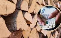 Пенсионный фонд начал принимать заявления на субсидию для покупки дров и угля