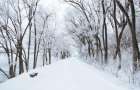 По прогнозу синоптиков, ноябрь  в Украине будет снежным и морозным