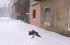 Drunken children almost froze to death in snow in Konstantinovka
