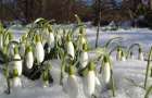 Народный синоптик прогнозирует возвращение зимы в марте