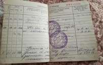 Какой период обучения больше не засчитывают в страховой стаж