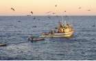 С начала октября из Азовского моря браконьеры выловили больше 6 тонн рыбы
