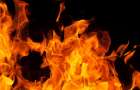 В Димитрове и Красноармейском районе пожарные боролись с огнем