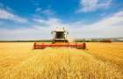 В Украине увеличились объемы производимой сельхозпродукции 