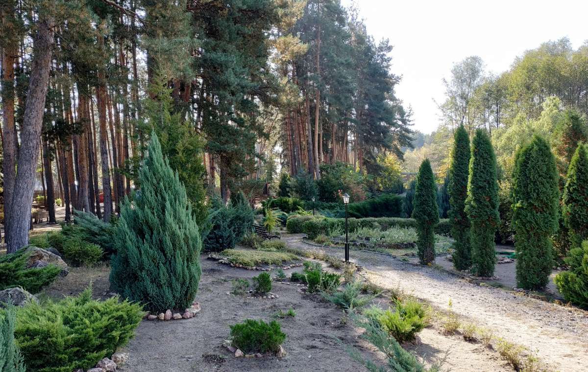 «Лиманский лесхоз», основанный почти 60 лет назад, прекратил своё существование