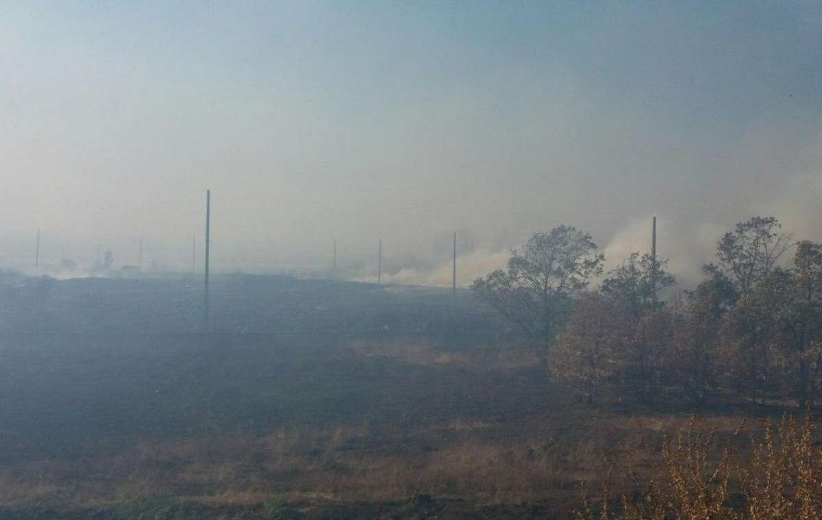 Пожар под Краматорском: опять горел лес