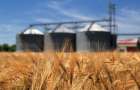 Ukraine reduced the export of grain crops