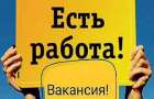 Представители каких профессий сегодня наиболее востребованы в Константиновке