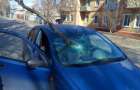 В Краматорске на автомобиль упала ветка во время движения