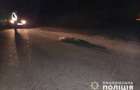 На ночной дороге собака повредила мотоциклиста и пассажира в Лимане