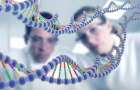 В США заявили, что смогут редактировать геном человека
