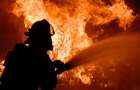 В Доброполье 46-летний мужчина сгорел на пожаре