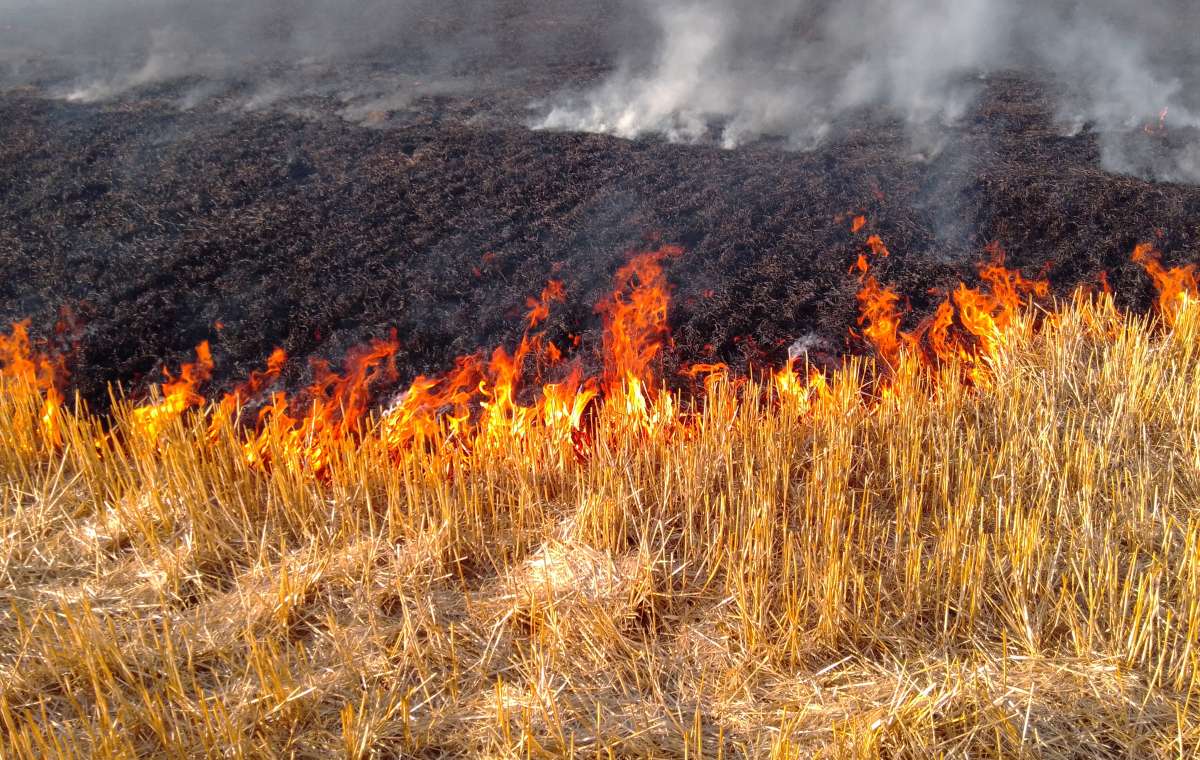 В Константиновском районе горели поля