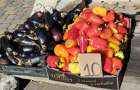 На «хитром» рынке в Константиновке цены ниже из-за обилия овощей