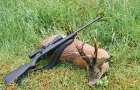 В Карпатах браконьеры убили животных в заповеднике