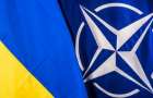 В Украине в ноябре появится настольная игра «НАТО-Украина»