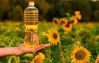 В Украине, по мнению экспертов, подешевеет подсолнечное масло, но подорожает мед