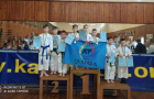 Юные каратисты из Константиновки завоевали медали на чемпионате Украины