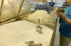 В Украине резко уменьшится производство сахара