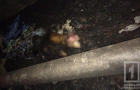 В Кривом Роге в куче горящего мусора нашли труп женщины